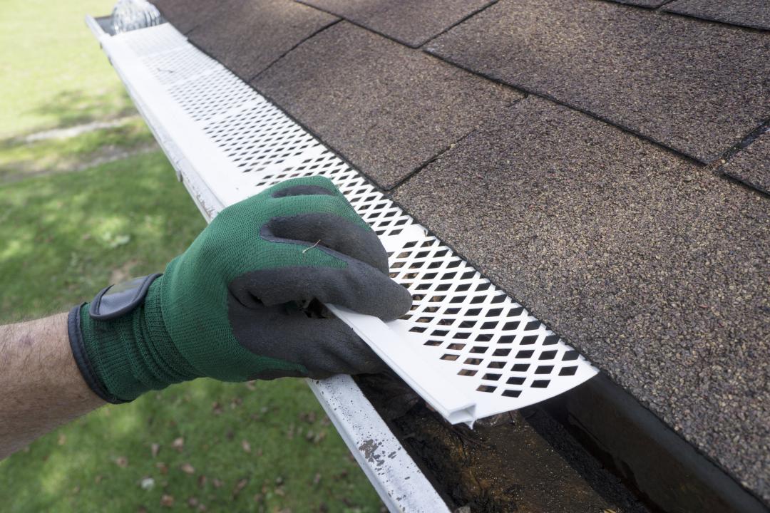 Gutter filters