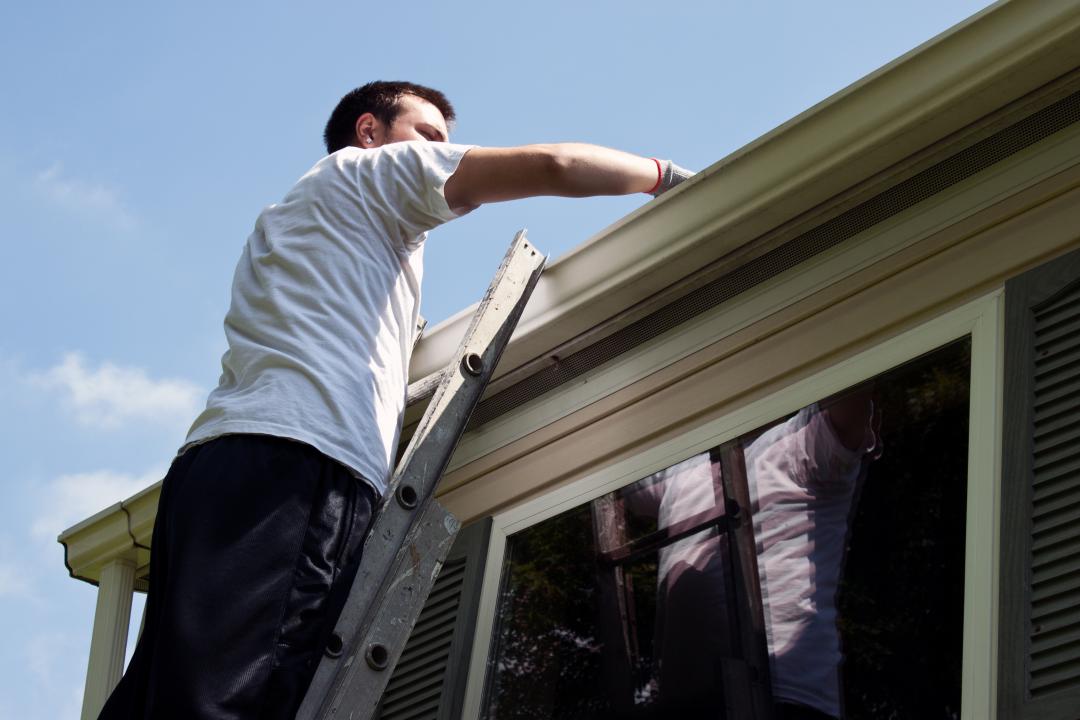 Roof cleaning company