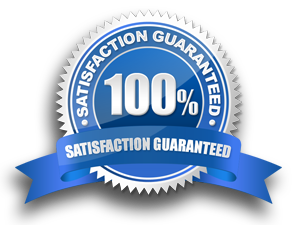 Satisfaction logo